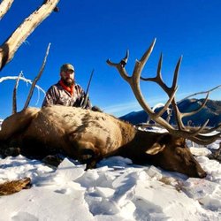 Best of the West Outfitters - 2018 Wyoming Elk Hunt.