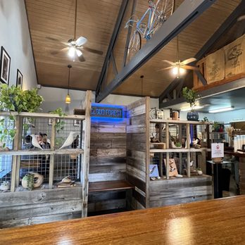 Cloud Forest Cafe - Inside - The image shows the interior of Cloud Forest Cafe in Davis, CA, with a wooden ceiling, ceiling fans, and decorative plants. A mezzanine level is visible, with a bicycle mounted on the upper beam. The space includes wooden partitions with decorative items and a neon sign reading 'CLOUD FOREST.' The overall decor combines natural wood elements with modern lighting. - Coffee & Tea Near Me - Davis, California