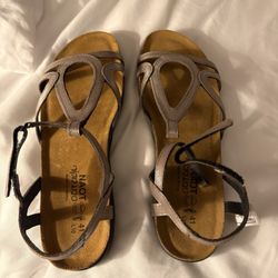 Dodds Shoe