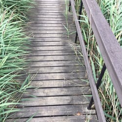 Bagsværd Sø