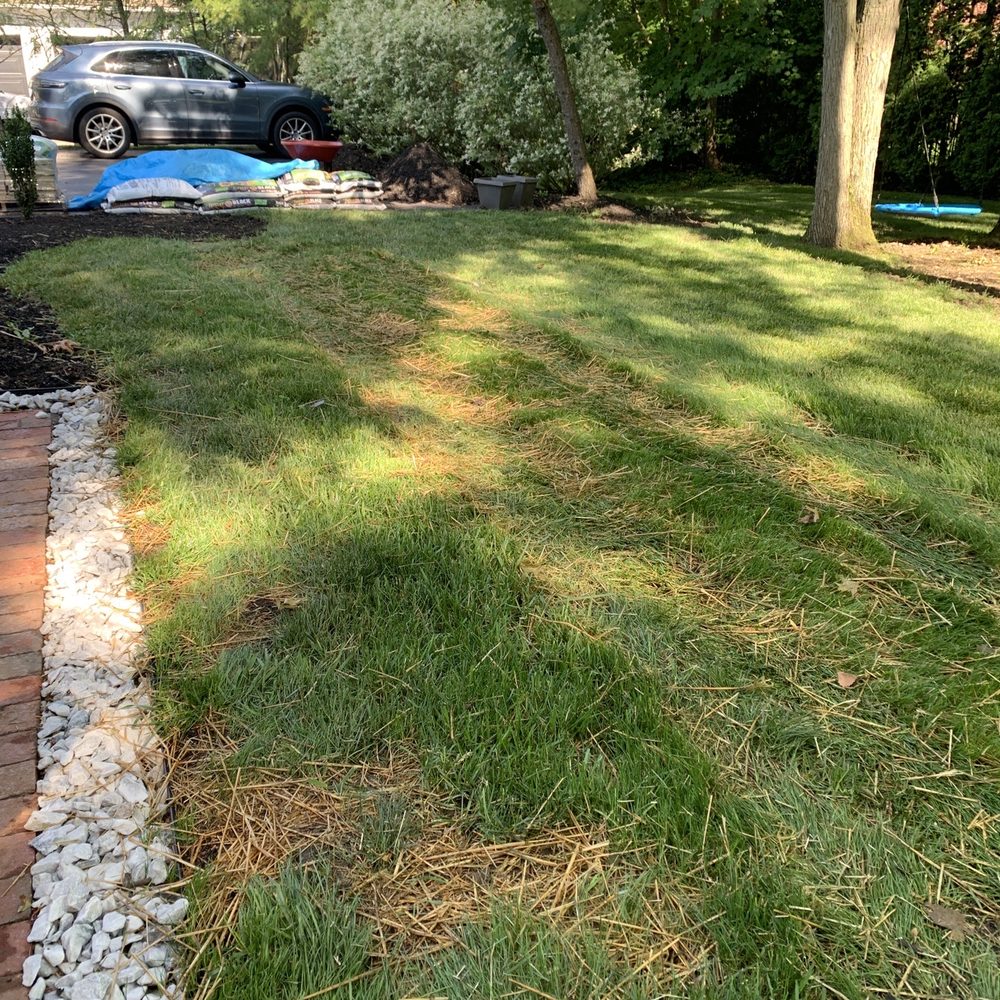 Sunscapes Hardscapes By Design - Patchy grass "fix" after 3 weeks of "growth" - Landscaping Near Me - Galena, Ohio Sunscapes Hardscapes By Design - Patchy grass "fix" after 3 weeks of "growth" - Landscaping Near Me - Galena, Ohio