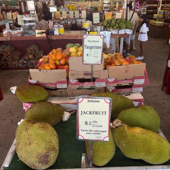 Robert Is Here - It was delicious - Fruits & Veggies Near Me - Homestead, Florida Robert Is Here - It was delicious - Fruits & Veggies Near Me - Homestead, Florida
