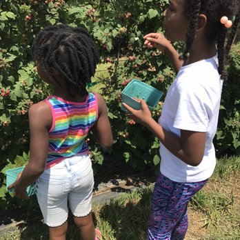 Larriland Farm - Fruits & Veggies Near Me - Woodbine, Maryland