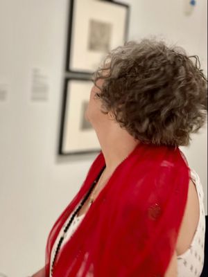 Tampa Museum of Art by null