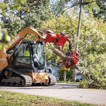 Tree Wise Men - Tree Services Near Me - Janesville, Wisconsin Tree Wise Men - Tree Services Near Me - Janesville, Wisconsin
