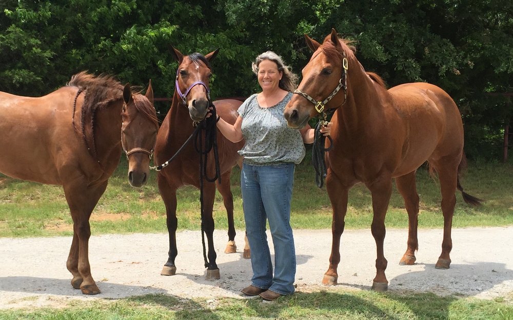 Sliding K Performance - equestrian in Dover, MN