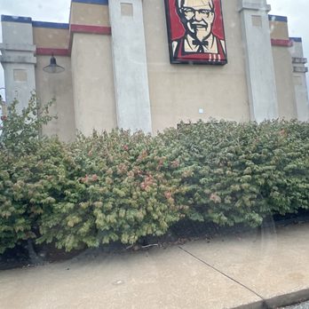 KFC - Fast Food Near Me - Tulsa, Oklahoma