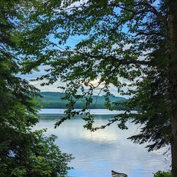 Parc National de la Mauricie - Possibilité de location de canoë proche du Lac Wapicagonze