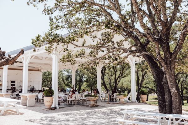 Signor Vineyards by null