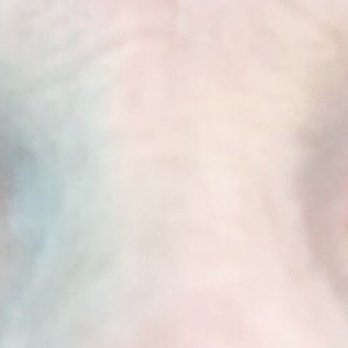 The Lash Artistry - Two weeks later and still going strong. - Eyelash Service Near Me - Lynnwood, Washington The Lash Artistry - Two weeks later and still going strong. - Eyelash Service Near Me - Lynnwood, Washington