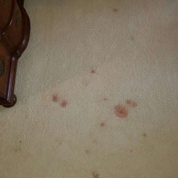 Craig's Custom Cleaning - Blood before - Carpet Cleaning Near Me Craig's Custom Cleaning - Blood before - Carpet Cleaning Near Me