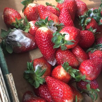 25th Irving Supermarket - 3 boxes of organic strawberries for $2 because there's organic mold everywhere - International Grocery Near Me - San Francisco, California