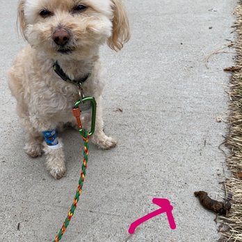 northfield animal hospital