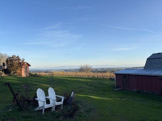 Terra Vina Wines Vineyard by null