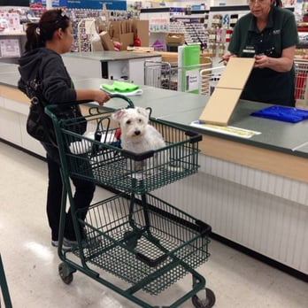 JOANN Fabric and Crafts - Joann's Poway, you need to do something about your customers that bring their NON-Service dogs into your store! - Fabric Stores Near Me - Poway, California JOANN Fabric and Crafts - Joann's Poway, you need to do something about your customers that bring their NON-Service dogs into your store! - Fabric Stores Near Me - Poway, California