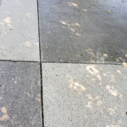 Bloomington Pressure Wash