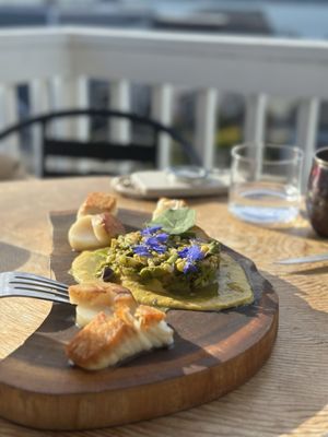 Oystercatcher by null