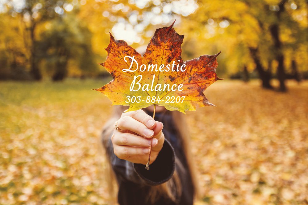 Domestic Balance Image