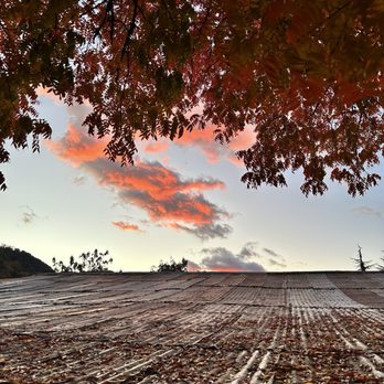 Snow-Line Orchard - Fruits & Veggies Near Me - Oak Glen, California Snow-Line Orchard - Fruits & Veggies Near Me - Oak Glen, California