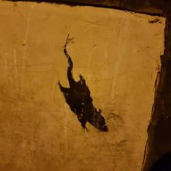 Speicherhäuser