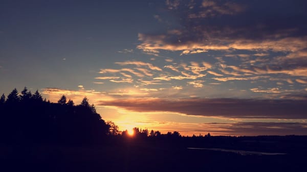 Ancestry Brewing by null