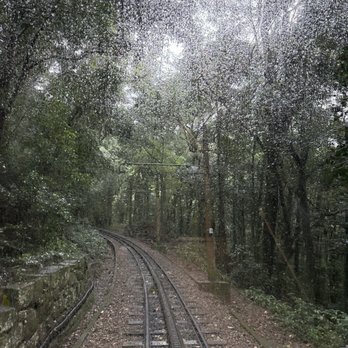 Trem do Corcovado - Traveling through the Tijuca forest - Trains Near Me - Rio de Janeiro, RJ