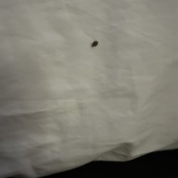 Heritage Inn - I found 2 but here is one that is pictured. Nice people.. just not sanitary.