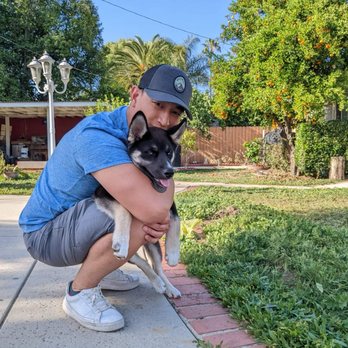 The K9 Usher - Pet Training Near Me