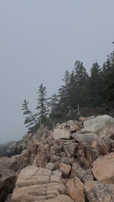 Bass Harbor Head Light Station by null