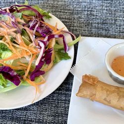Ruan Thai Cuisine - Delicious spring roll and salad