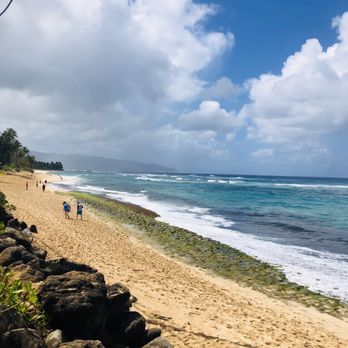 Laniakea Beach - Pretty. - Beaches Near Me - Haleiwa, Hawaii Laniakea Beach - Pretty. - Beaches Near Me - Haleiwa, Hawaii