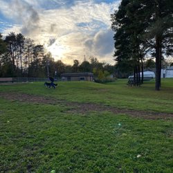 Lakewood Bark Park - Cute dog park. Big area to play.
