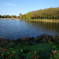 Orankesee