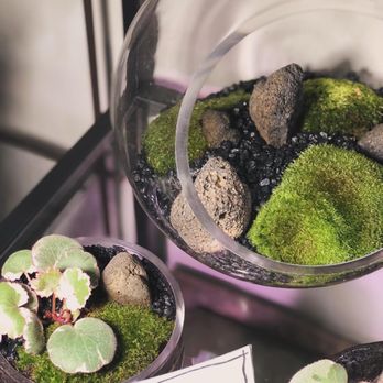 Utsuwa Botanical Design - Nurseries & Gardening Near Me - New York, New York