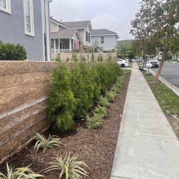 Advanced Pacific Landscape - Landscaping Near Me