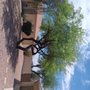 Photo of Carmona Landscaping
