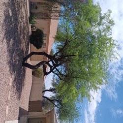 Carmona Landscaping