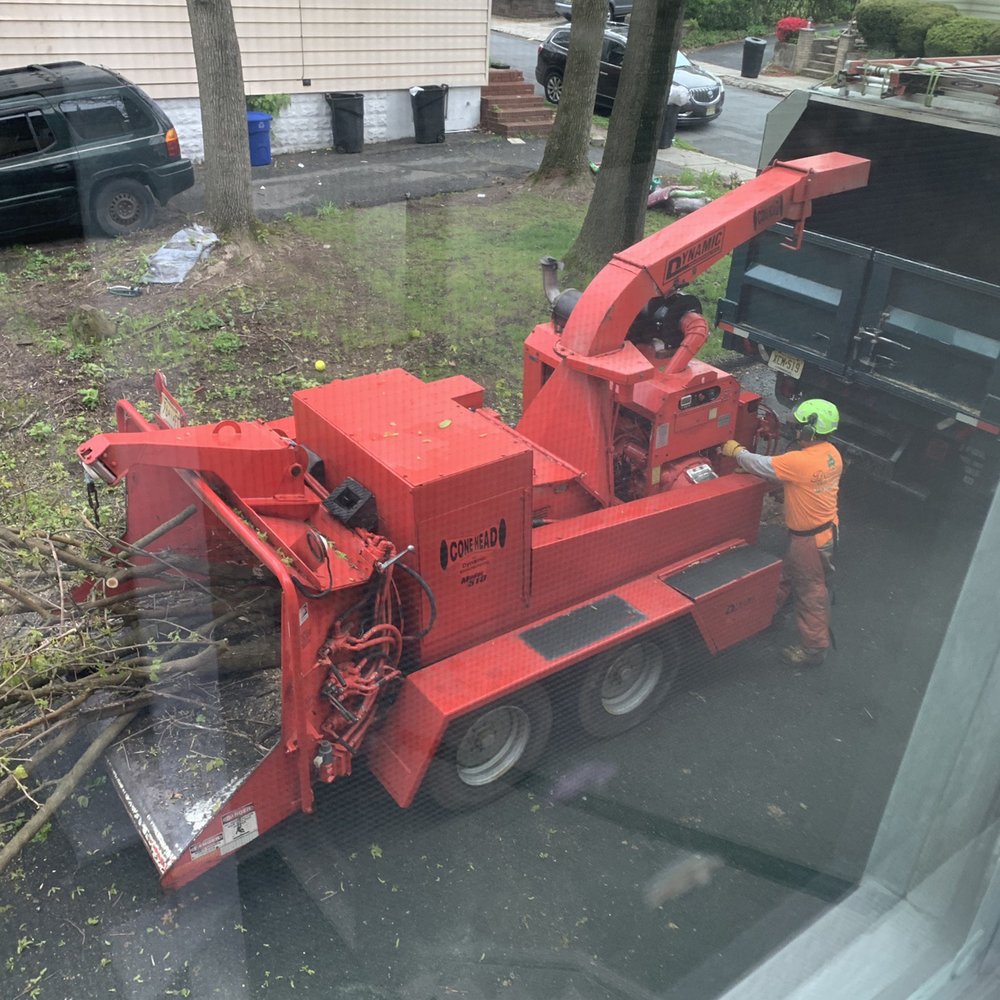 Eugene M Brennan Tree Service - Firewood Near Me - Vauxhall, New Jersey Eugene M Brennan Tree Service - Firewood Near Me - Vauxhall, New Jersey