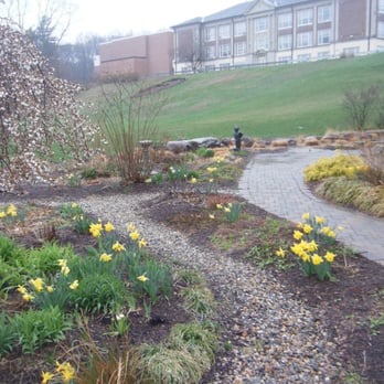 Farmington Library - Nice garden - Libraries Near Me - Farmington, Connecticut