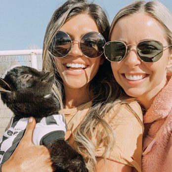 Goat Yoga - Yoga Near Me Goat Yoga - Yoga Near Me