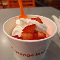 Orange Leaf Frozen Yogurt - Buried under the top layer of vanilla froyo are a million other delicious flavors!