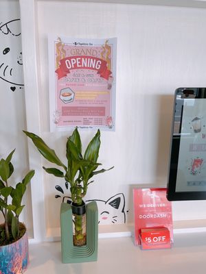 TAPIOCA GO - Updated June 2025 - 73 Photos & 19 Reviews - 4000 Virginia ...