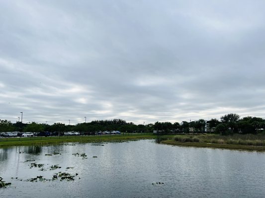 FLAMINGO WEST PARK - Updated January 2025 - 38 Photos - 6201 S Flamingo