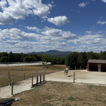 High Meadows Farms - Horseback Riding Near Me - Wolfeboro, New Hampshire High Meadows Farms - Horseback Riding Near Me - Wolfeboro, New Hampshire