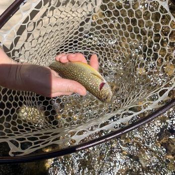 Sasquatch Fly Fishing - Fishing Near Me - Estes Park, Colorado