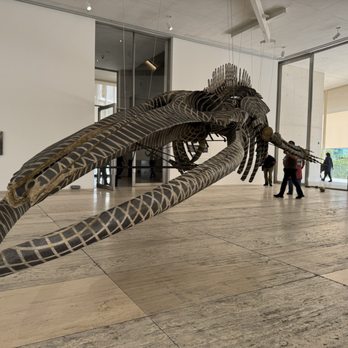 Museo Jumex - Museums Near Me - Ciudad de México, DIF
