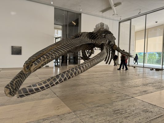 Museo Jumex by null