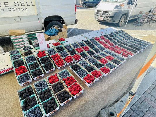 Evergreen Farmers' Market by null