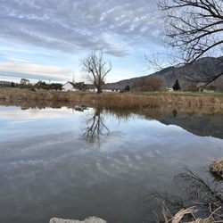Horse Thief Park