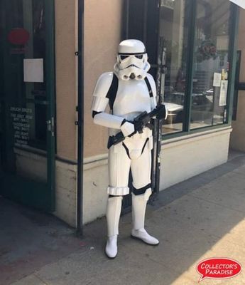 Collector's Paradise by null